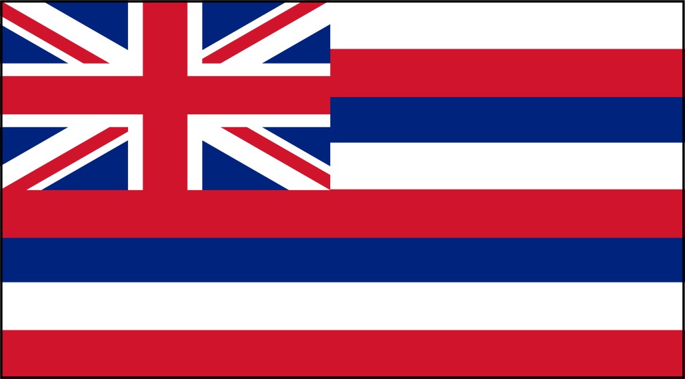 FREE Printable Hawaii State Flag & color book pages | 8½ x 11