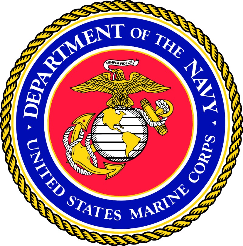 Marine Seal high resolution full color