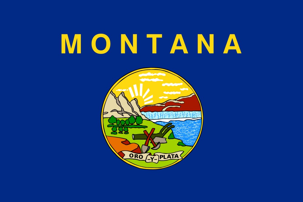 Images of our Montana full color flag