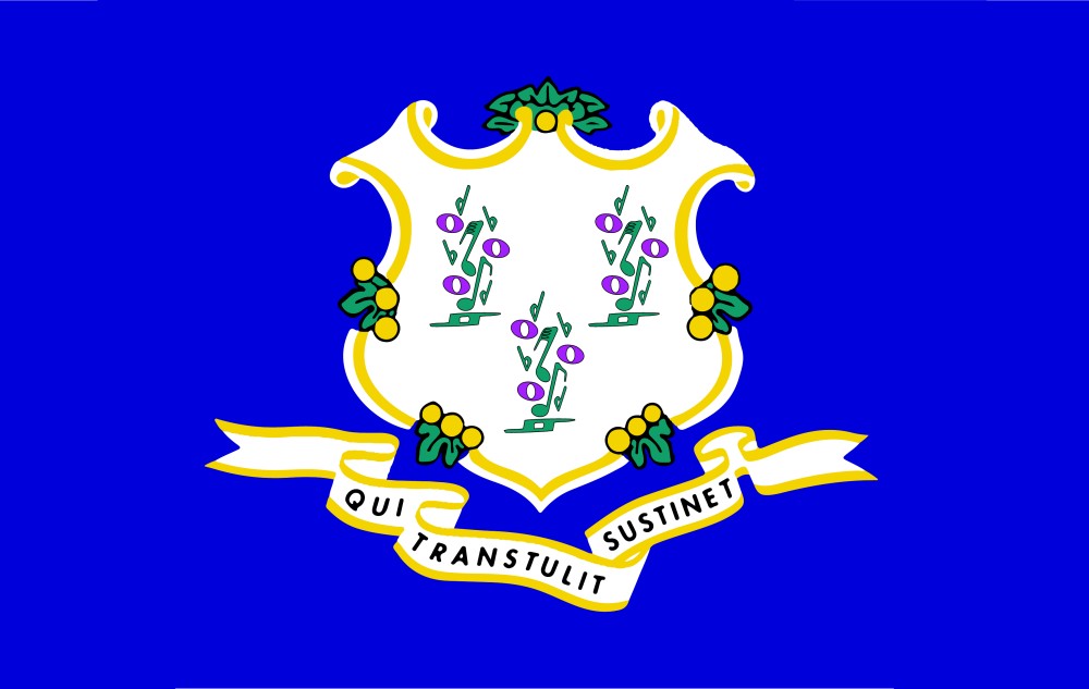 Images of our Connecticut full color flag