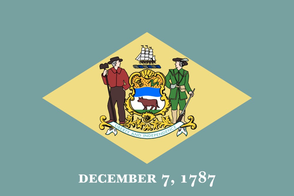 Images of our Delaware full color flag