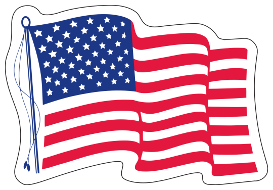 Image of our No. 216 White Vinyl US Flag